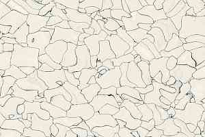 Кварцвиниловые полы Forbo Colorex SD 150202 фото  | FLOORDEALER